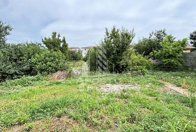 Casa cu 3 camere in Chisoda, teren 1480 mp - 10