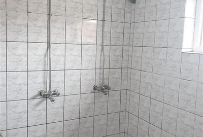 Inchiriez Spatiu industrial Hala  langa A1 spre Timisoara - 6