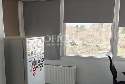 Apartament 1 Camera | 25 Mp | PET FRIENDLY | Zorilor Pasteur UMF - 4