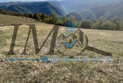 Teren extravilan la munte zona Loman! - 1