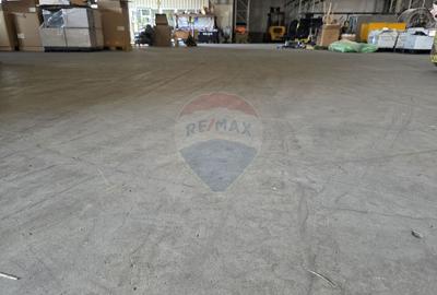 DE VANZARE Spațiu industrial | Teren 18.700 MP - 25