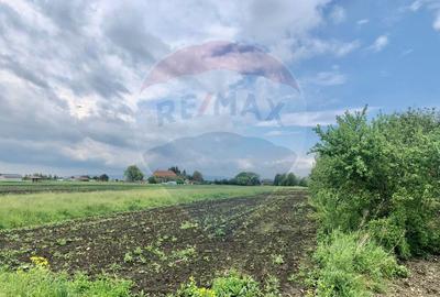 COMISION 0% | Teren intravilan 3250 mp | Stupini, str. Capra Neagra | - 5