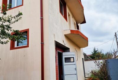 VIND VILA CU SPATIU INDUSTRIAL LOCUIT (pretabil la orice activitate) DASCALU IF - 2