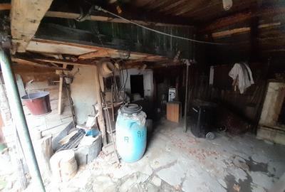 Casa traditionala cu anexe si gradina,Zona Nasaud - 18