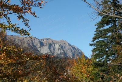 Teren Sinaia - 4
