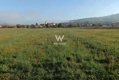 Teren intravilan de vânzare – suprafață totală 3.800 mp GUSTERIRA - 1