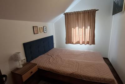 Casa de Vacanta Lepsa - 7