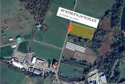 Teren de vanzare intravilan 5000 m2 Cisnadie zona SOMA - 6