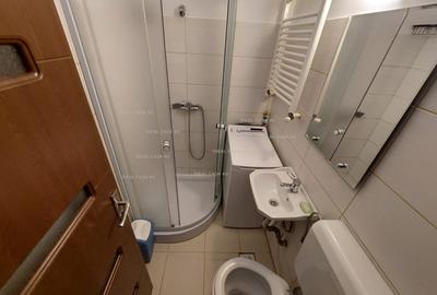 Apartament cu 1 camera in Tudor Vladimirescu - 6