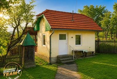 FILM! Oaza ta de liniste pe 0.5ha teren intravilan, Dalnic, Covasna - 17