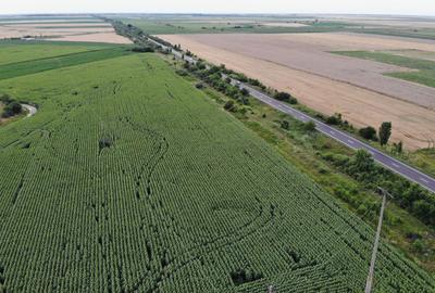 Vand Teren Extravilan Becicherecu Mic(zona industriala) 18.000mp,Utilitati - 4