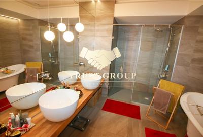 Gradina Icoanei  - Penthouse tip duplex - - 11