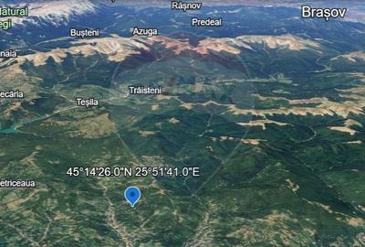 Teren Construcții intravilan de 4972 mp, în Bertea