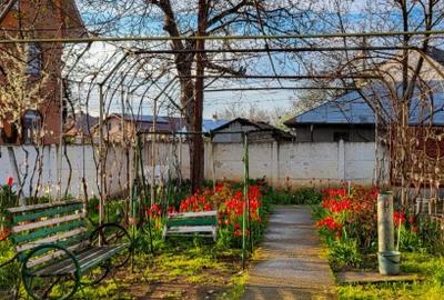 Casa cu teren 1400mp - 4