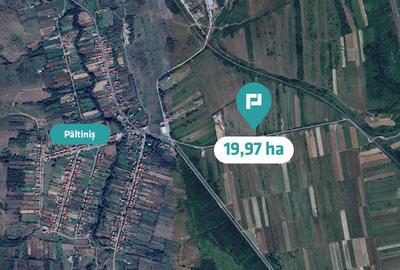Teren extravilan agricol de 20 ha lângă Caransebes - 3