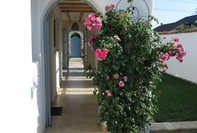 Casa de vacanta stil mediteranean in Vama Veche - 4
