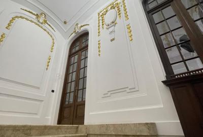Vila - Gradina Icoanei - De Inchiriat - 11