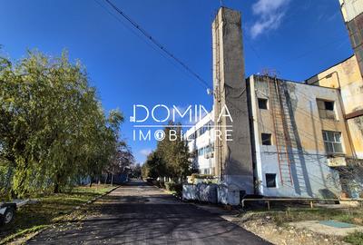 Inchiriere complex industrial versatil *hale - birouri - platforme betonate* - 2