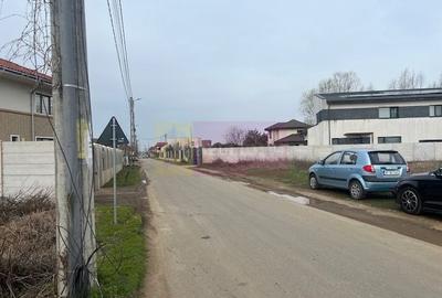 Teren Domnesti- Drumul Targului. - 3