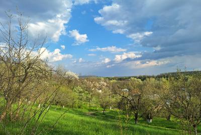 Moșia boierească din vârf de deal, Scorțeni - Prahova, comision 0% - 8