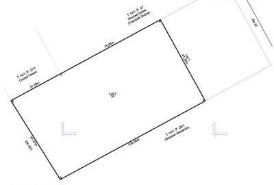 Teren 8000 mp | Sitaru-Gradistea | Oportunitate Dezvoltare - 5