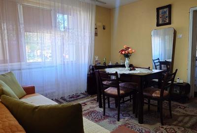 Apartament 2 camere, 45 mp, parter - Orasul Nou, Brad - 14