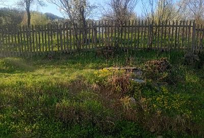 Vând terenuri,intravilane și extravilane !!! - 4