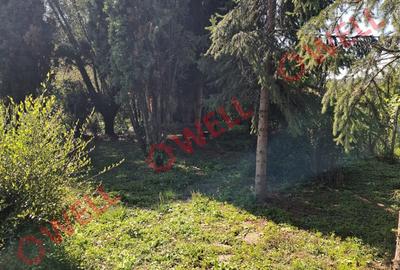 De vânzare casă familială situată în Miercurea Nirajului, zona Sântandrei! - 20