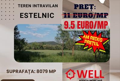 De vânzare teren intravilan în Estelnic! - 1