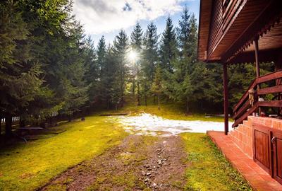 Cabane cu 10 camere Arieseni - 19