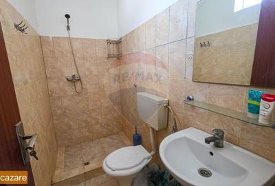 De vanzare spatiu industrial in Turnu Magurele - Teleorman - 33