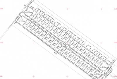 Teren Intravilan Primaverii, Com Berceni | AC - curent si gaz | #EG13E - 4