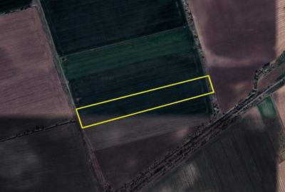 Teren Caciulati / 30.200 mp / D: 70 m / comision 0% - 1