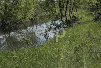 Teren 3015 mp Moșoaia | Zonă liniștită lângă pădure | Ideal casă | 15,99 €/mp - 7