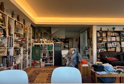 Kiseleff, proprietar vand penthouse cu vedere panoramica - 5