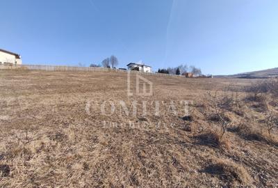 Teren de vanare | 800 mp | Colonia Sopor - 3
