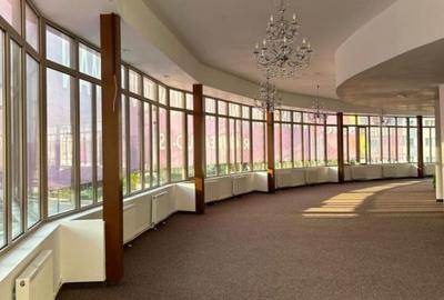 Artera intens circulata, spatiu comercial, 420 mp  . - 9