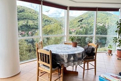 FIRIZA - VILA+ casa batraneasca si 29ari teren, panorama superba! - 7