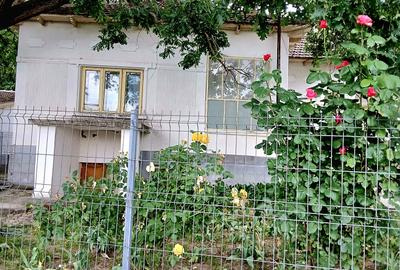 Seimenii Mari Casa 5 camere S.teren:4260 +vie+pomi fructiferi  vedere la Dunare - 17