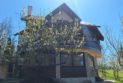 CASĂ DE VACANȚĂ ÎN COMARNIC - 16