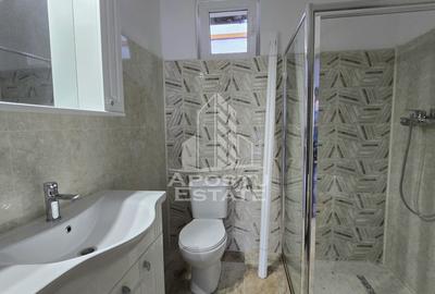 Casa noua, individuala, in vatra satului, 500 mp teren, Sag, Timis - 8