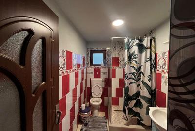 Casa Individuala Sanandrei,P+M,4 Camere,Terasa Acoperita,Teren Generos,Mobilata - 17