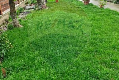 Vila cu 6 camere, teren 1200mp de vanzare- Varasti, la 4 km de Berceni - 13