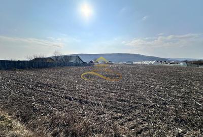 De vanzare teren intravilan Hemeius Bacau - 8