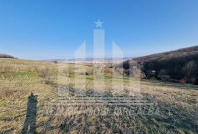 Teren intravilan | De vanzare | 1808 mp | 18 ml deschidere | Seigau - 8