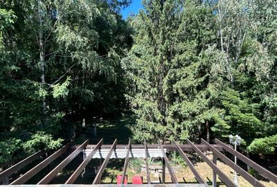 Resedinta cu Padure Privata, Paradisul Verde, teren 1800mp, gradina matura - 10