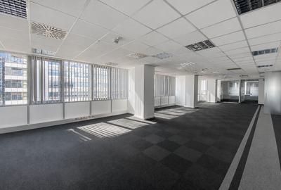 Floreasca Tower - 10