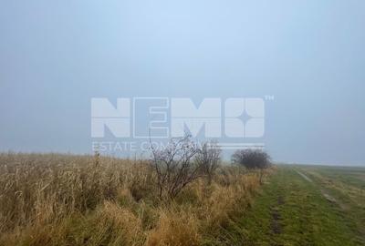 TEREN EXTRAVILAN | DOUA PARCELE 2.84 HA| DARMANESTI - 11