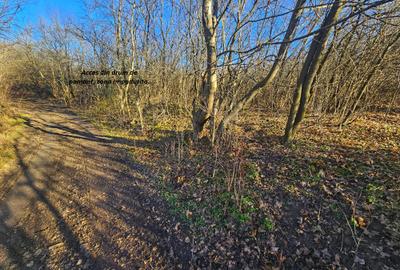 Teren intravilan 2.000 mp – Seciu, 2 deschideri, Priveliște panoramica - 11