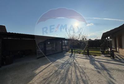 Casă / Vilă cu 4 camere de vânzare în zona Bujac-Arad - 26